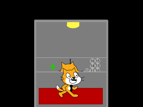 Cat in a Elevator