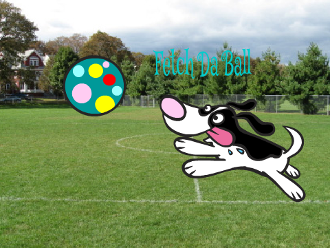 Fetch Da Balls