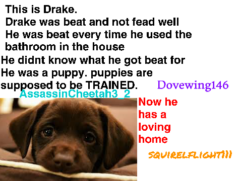 Sign if you hate animal abuse remix remix