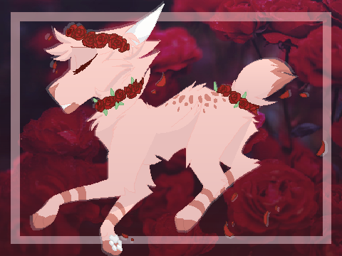 ⌈DTA ❈ Open WIPWIPWIPWIP