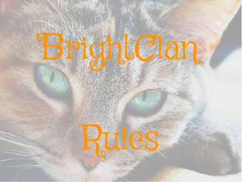 BrightClan Rules