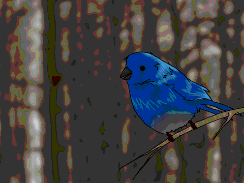Bird, Blue
