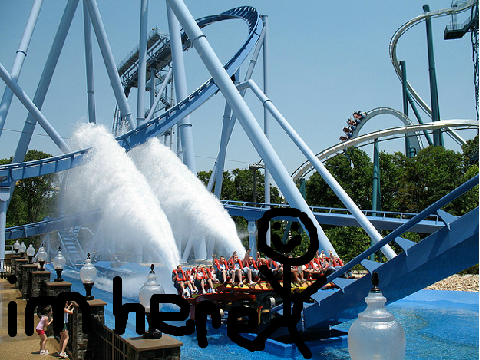 Everything I like about Busch Gardens Williamsburg.