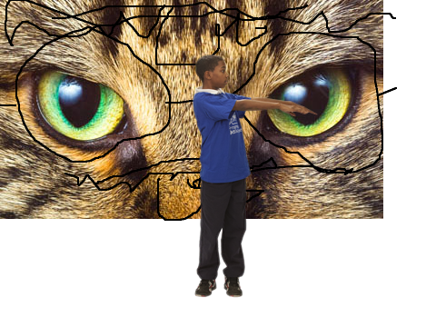 dah youy