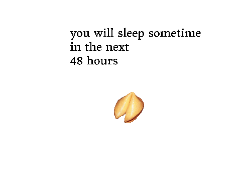 fortune cookie