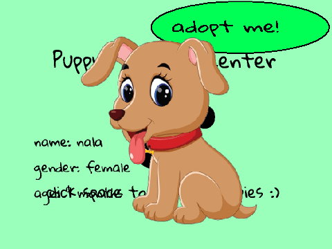 Adopt a Puppy!