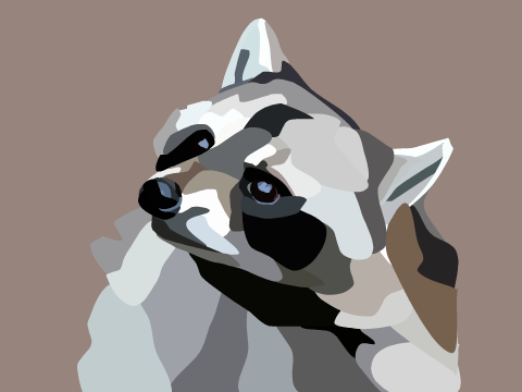 Raccoon Blockshade