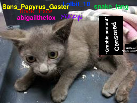 Sign to stop animal abuse. remix x4 remix