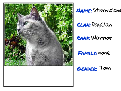 character sheet Stormclaw