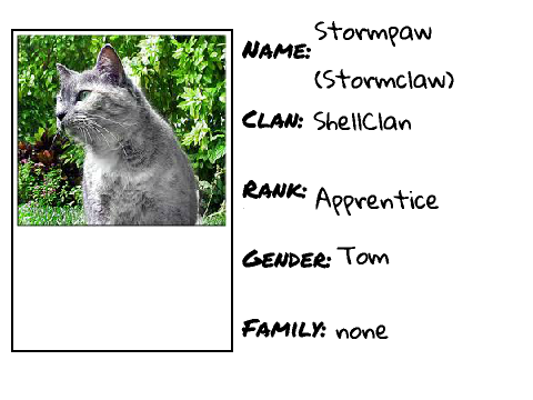 Adventures Of The Shore- Charecter Sheet Stormclaw