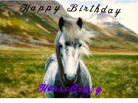 Birthday project for HorseCrazy10