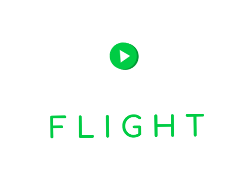 Flight