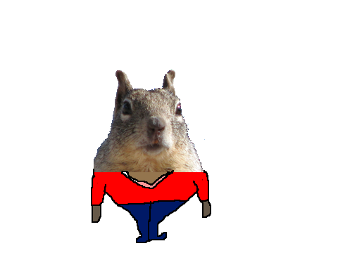Squirrel-Mania v1