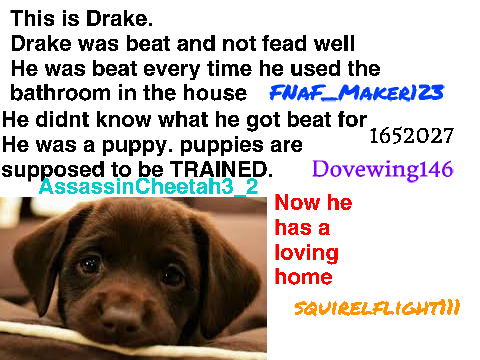 Sign if you hate animal abuse remix remix remix remix