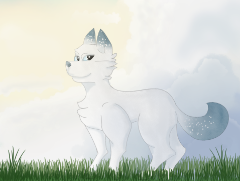My Improvement