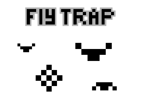 Fly Trap