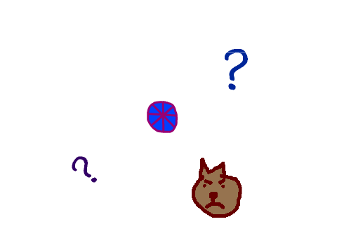 color but don't touch the grumpy cat!