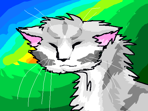 Animation test