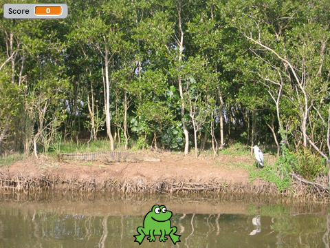 HungryFrog