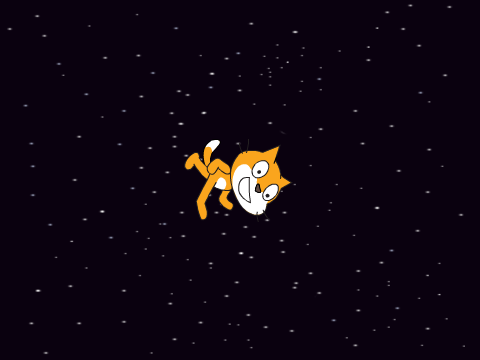 Spinny Cat