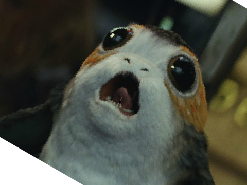 porg alert