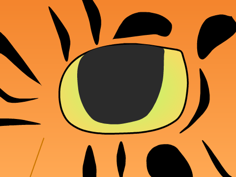 Tiger Eye