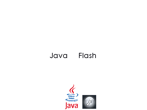 Java or Flash?