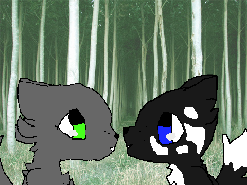 -Next To Me CCE- Hawkpaw and Streampaw
