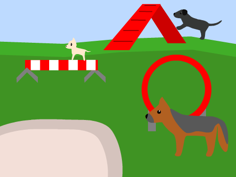 Dog Park SDS