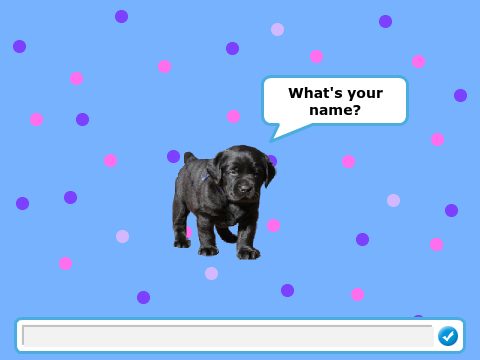 A puppie adventure