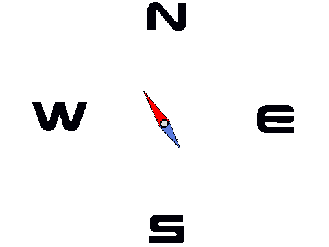 compass needle sim