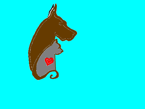 Cat and dog 