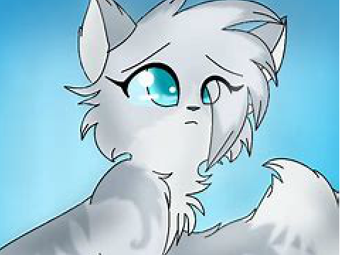 Warrior Cat Music