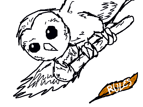 Barn Owl Coloring Contest!