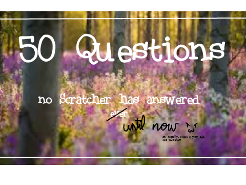 50 Questions no Scratcher has answered.. UNTIL NOW