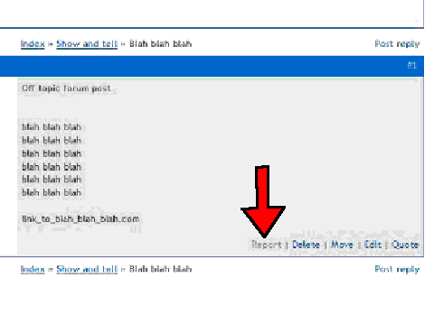 Report Forum Spam!