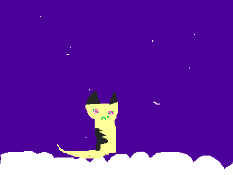 Longtail's Choice