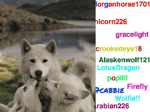 sign if you love wolves... remix remix remix remix remix remix