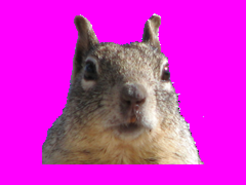 Squirell Mosaic!