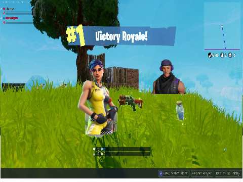 FORTNITE STORY