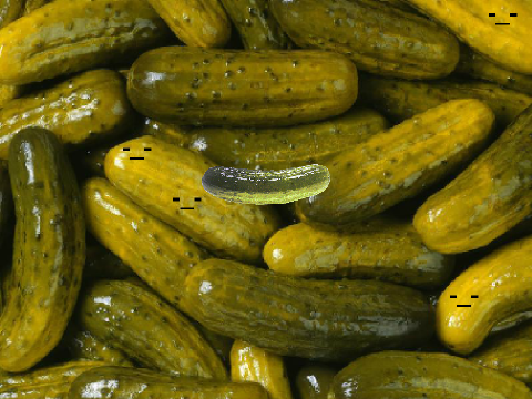 PICKLE POWER