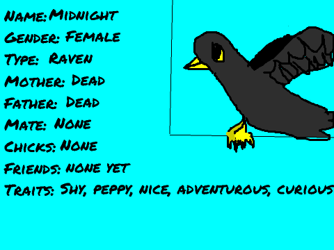 Birds Of The Sky RPG Template Raven