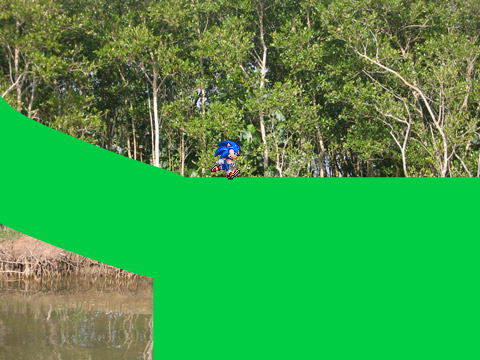 Jungle Lake Zone