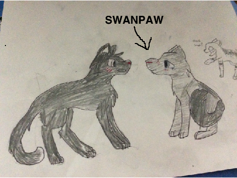 NIGHT x SWAN FOREVER