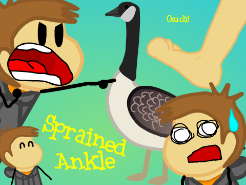How I Sprained my Ankle