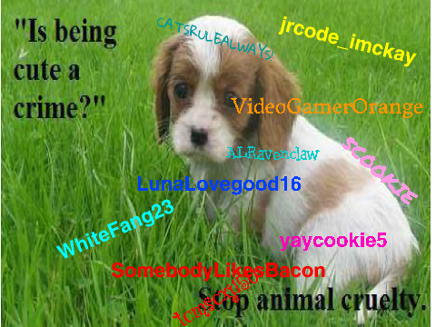 Sign to STOP the ANIMAL CRUELTY!! remix remix remix remix remix remix remix remix remix