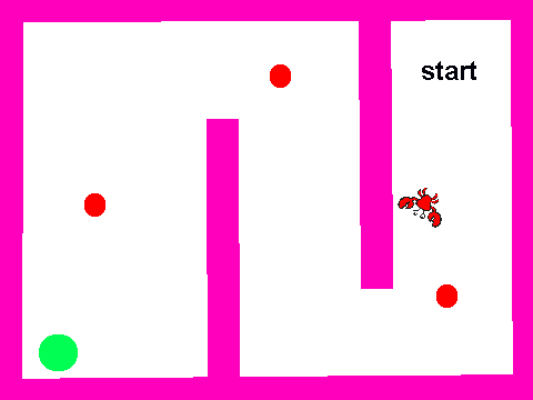 Crab Maze (iPad) Decomposition  remix