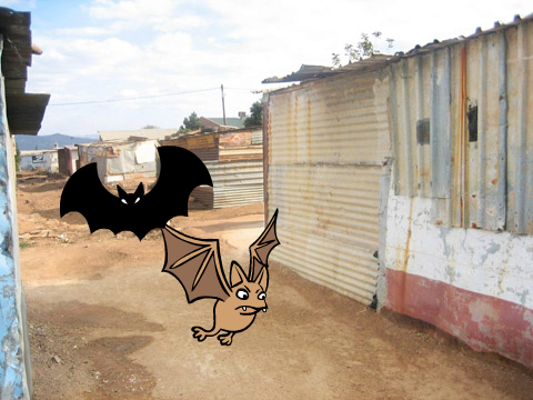   The Bat Kingdom Episode 1