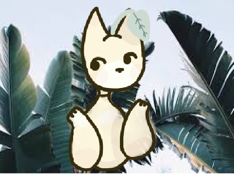‹ s o f t ›