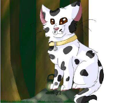 Recent art